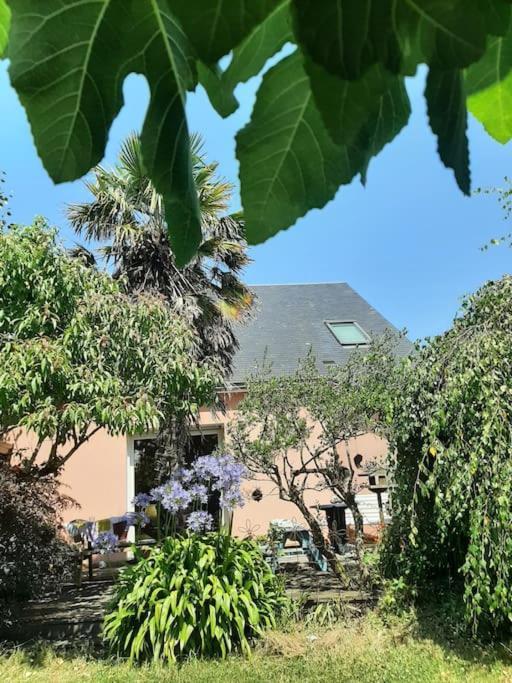 La Maison Rose - Avec Grand Jardin Clos A 300M De La Mer Hauteville-sur-Mer 외부 사진